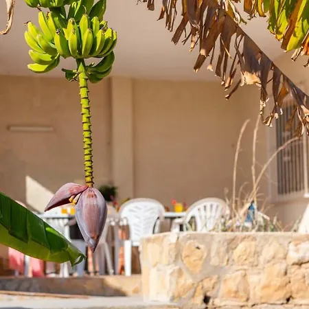 Ainoha - Plusholidays Benissa